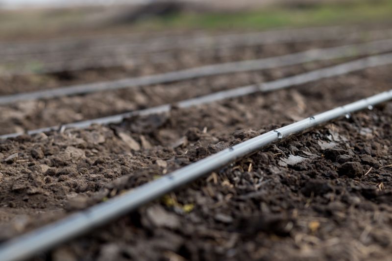 Drip Irrigation Repair Service detail