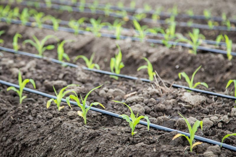 Watering System Installation Service